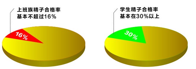 上班族精子质量垫底，80%前列腺炎造成